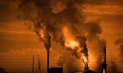 As florestas estão desacelerando o aquecimento global, mas ainda não o suficiente As florestas estão desacelerando o aquecimento global, mas ainda não o suficiente
